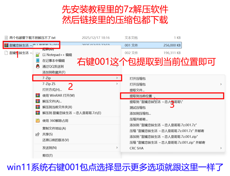 图片[7]-安装教程（小白必看）-大壮社区