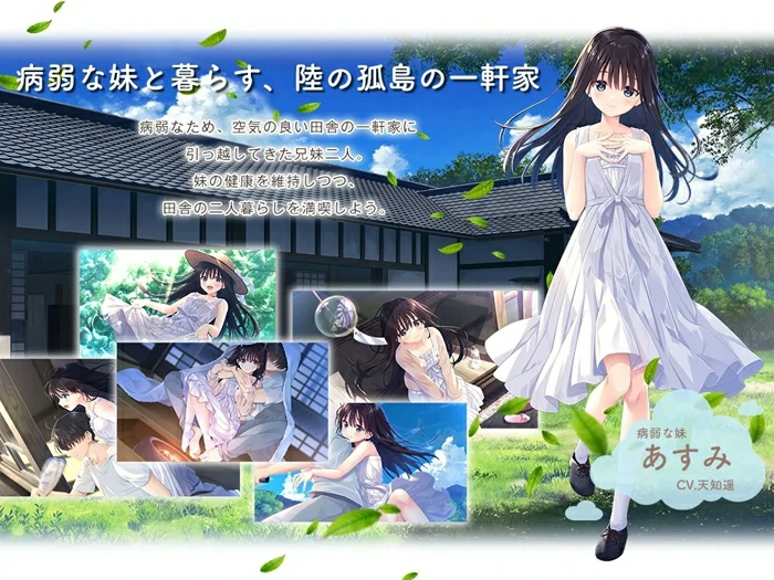 图片[1]-安卓+电脑【爆款RPG全CV】痴情哥哥与病弱妹妹的乡间生活 骑 ty模拟器玩-大壮社区