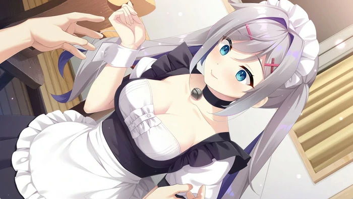 图片[3]-安卓+电脑【精品ADV全CV】女仆酱陷入迷途v1.0.0 骑 ty模拟器玩-大壮社区