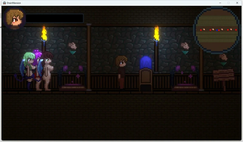 图片[5]-安卓+电脑【像素ACT动态】Drain Mansion v2.0.4-大壮社区