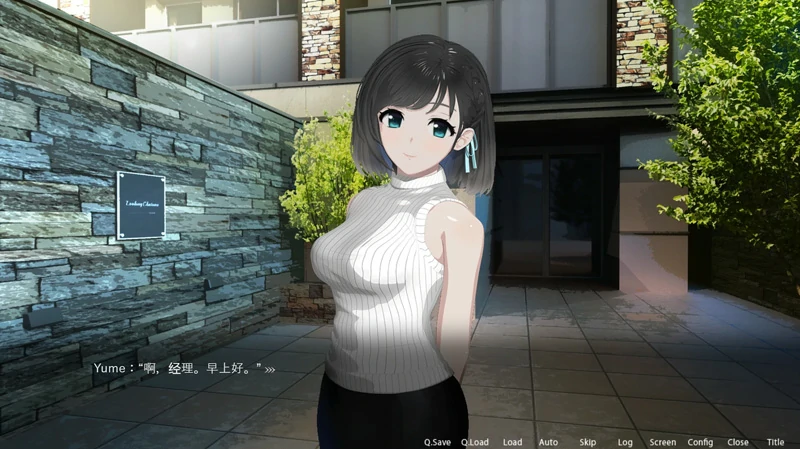 图片[1]-安卓+电脑【爆款SLG/动态】ROOM 窥视女孩私生活SLG+全DLC+特典 v2.04 ty模拟器玩-大壮社区