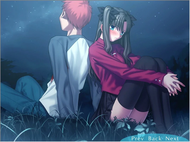 图片[4]-安卓+电脑【精品SLG同人】Fate Stay Night命运长夜 ty模拟器玩-大壮社区