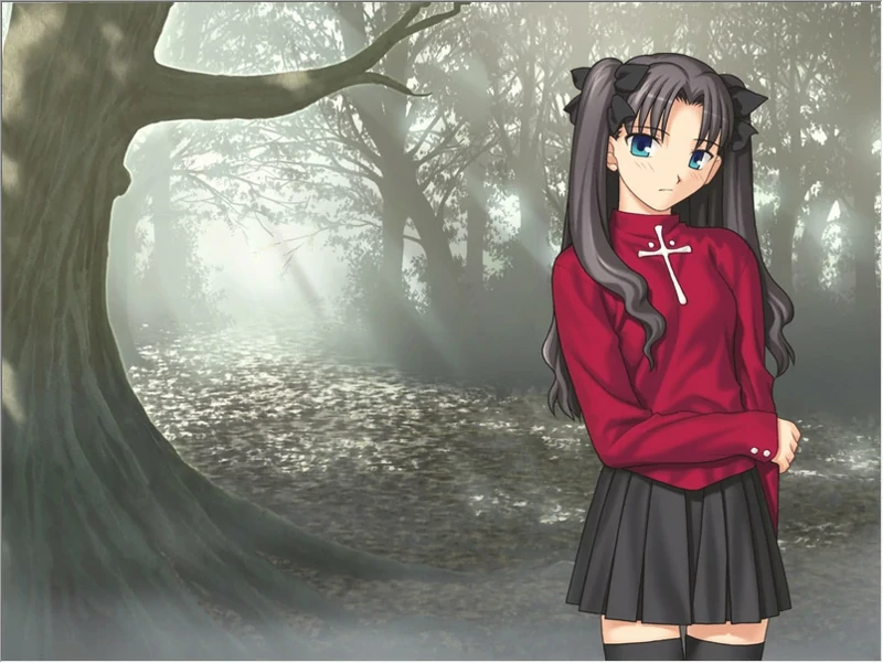 图片[5]-安卓+电脑【精品SLG同人】Fate Stay Night命运长夜 ty模拟器玩-大壮社区