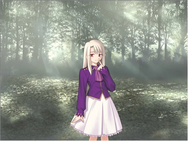 图片[6]-安卓+电脑【精品SLG同人】Fate Stay Night命运长夜 ty模拟器玩-大壮社区