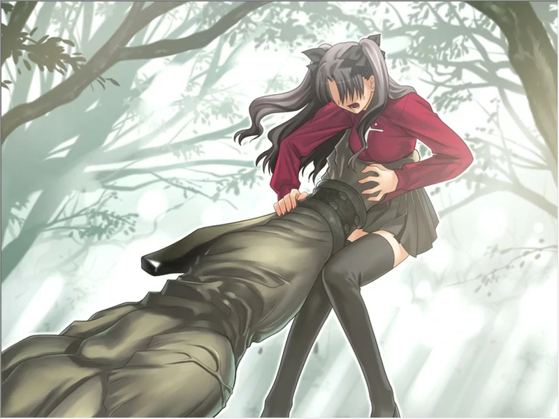 图片[8]-安卓+电脑【精品SLG同人】Fate Stay Night命运长夜 ty模拟器玩-大壮社区