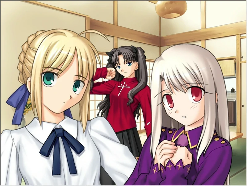 图片[9]-安卓+电脑【精品SLG同人】Fate Stay Night命运长夜 ty模拟器玩-大壮社区