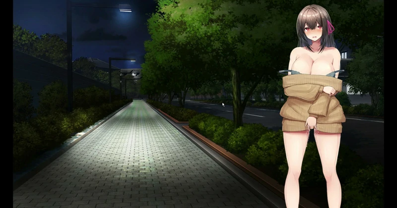 图片[10]-安卓+电脑【RPG全回想】女大学生沉迷露出 骑-大壮社区