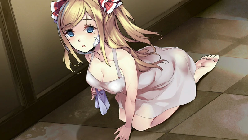 图片[11]-安卓+电脑【互动SLG】奈的调教日记 骑-大壮社区