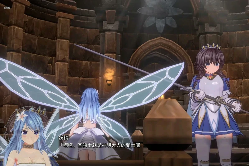 图片[12]-电脑版【神作3D动态ACT】圣骑士莉卡物语 精翻步兵-大壮社区