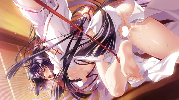 图片[11]-电脑版【精品ADV启蒙大作/全CV】无颜之月-待宵双椿 全回想 骑-大壮社区