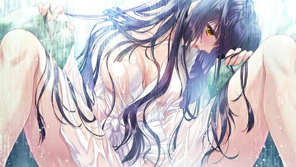 图片[14]-电脑版【精品ADV启蒙大作/全CV】无颜之月-待宵双椿 全回想 骑-大壮社区