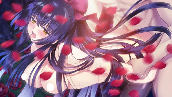 图片[17]-电脑版【精品ADV启蒙大作/全CV】无颜之月-待宵双椿 全回想 骑-大壮社区